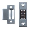 Polished Stainless Steel