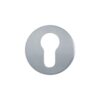 Concealed Round Escutcheon - Euro -52X4Mm