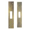 Florentine Bronze