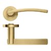 Favo Satin Brass