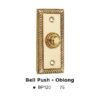 BP120PB Bell Push - Oblong