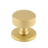 Satin Brass
