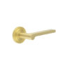 Satin Brass
