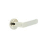Polished Nickel