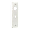 Polished Nickel