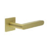 Satin Brass