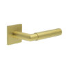 Satin Brass