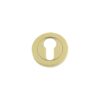 Polished Brass