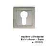 EES2028SSS Square Concealed Escutcheon-Euro