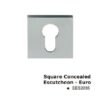 EES2035SSS Square Concealed Escutcheon-Euro