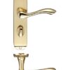 Polished Brass