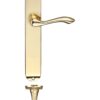 Polished Brass