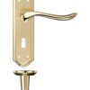 Satin Brass / Polished Brass