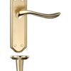 Satin Brass / Polished Brass