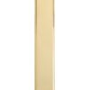 Polished Brass