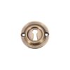 Florentine Bronze