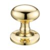 Polished Brass