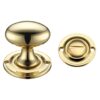Polished Brass