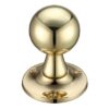Polished Brass