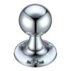 Polished Chrome