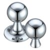 Polished Chrome