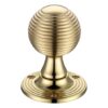 Queen Anne Mortice Knob Furniture 60mm Rose dia.