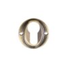 Florentine Bronze