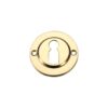 Polished Brass