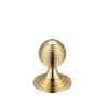 Polished Brass