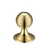 Polished Brass