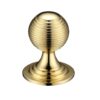Polished Brass