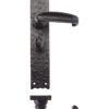 Traditional Lever on Bathroom Long Backplate - 10"