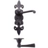 Lever on Fleur de Lys Bathroom Backplate
