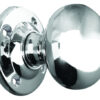 Polished Chrome