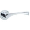 Polished Chrome