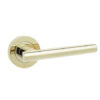 Brass Finish