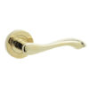 Gamma Door Handles