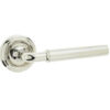 Polished Nickel