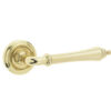 Polished Brass