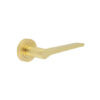 Satin Brass