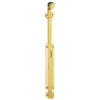 Polished Brass