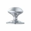 Polished Chrome
