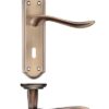 Project Lincoln Lever on Lock Backplate 180x48mm