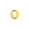 Satin Brass