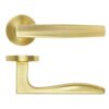 Satin Brass