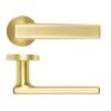 Satin Brass
