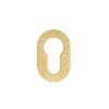 PVD Satin Brass