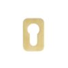 PVD Satin Brass
