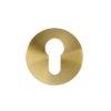 PVD Satin Brass