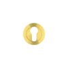 PVD Satin Brass